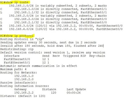 Routing Information Protocol (RIP): Latest Essentials and Grateful ...